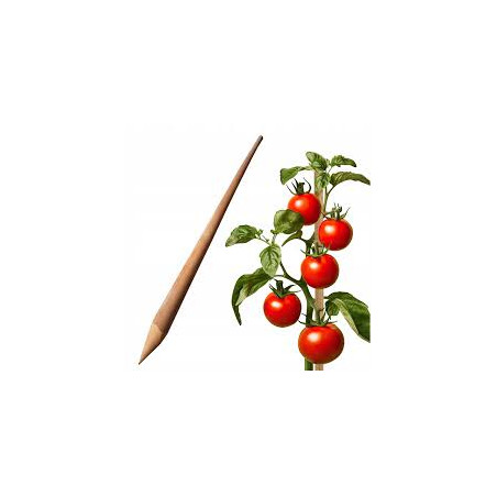 D.Palik do pomidorów 28x28x1500